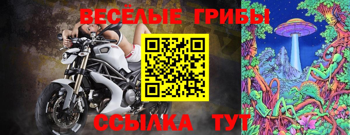Саров  Галлюциногенные грибы Cubensis  Вход с VPN 